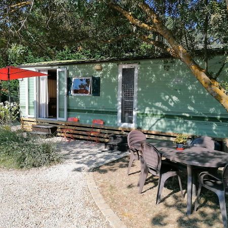 Bungalow Chez Gilly Boisset-et-Gaujac Dış mekan fotoğraf